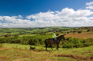 B&B for horse riding in mid wales